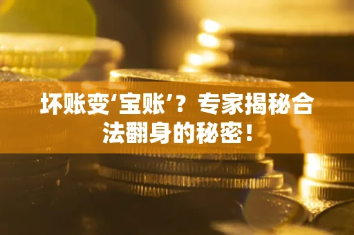 武汉坏账变‘宝账’？专家揭秘合法翻身的秘密！