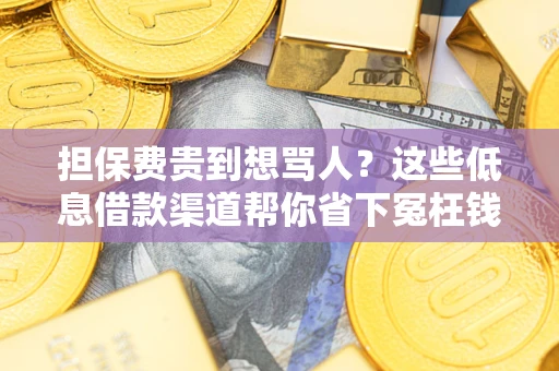 武汉担保费贵到想骂人？这些低息借款渠道帮你省下冤枉钱