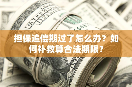武汉担保追偿期过了怎么办？如何补救算合法期限？