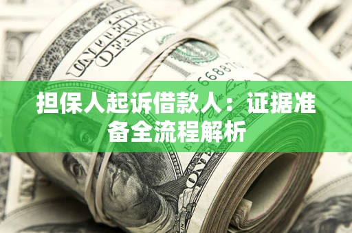 武汉担保人起诉借款人：证据准备全流程解析