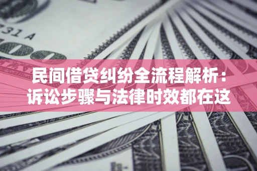武汉民间借贷纠纷全流程解析：诉讼步骤与法律时效都在这儿了