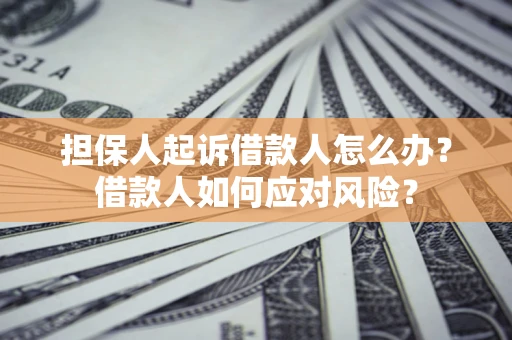 武汉担保人起诉借款人怎么办？借款人如何应对风险？