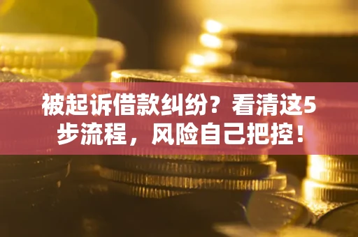 武汉被起诉借款纠纷？看清这5步流程，风险自己把控！