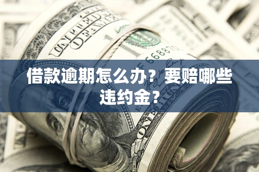 武汉借款逾期怎么办？要赔哪些违约金？