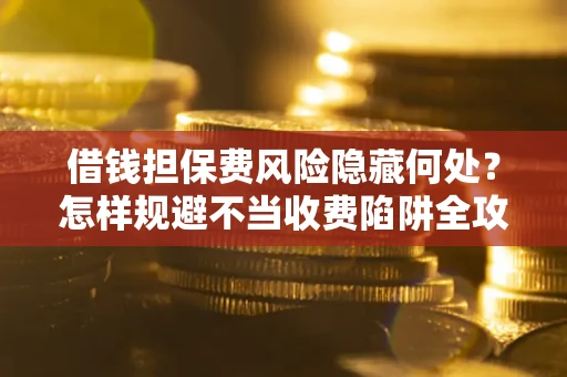 武汉借钱担保费风险隐藏何处？怎样规避不当收费陷阱全攻略！